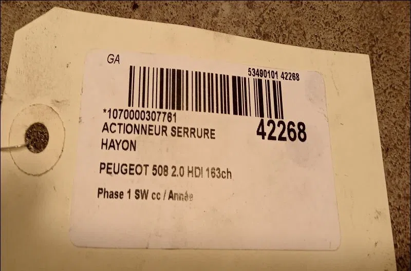 Actionneur serrure hayon Peugeot 508 SW I (8E_) 2.0 hdi (2010-2018) occasion