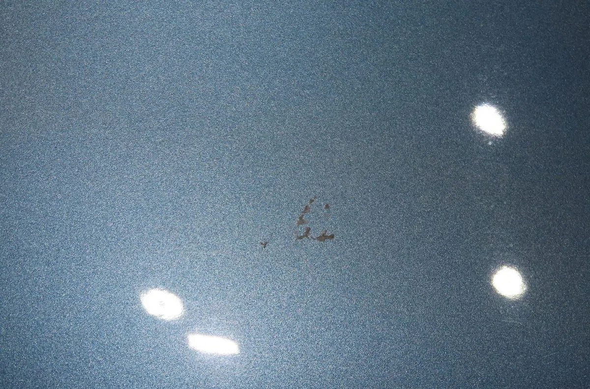 Aile avant droite Citroen C4 PICASSO II 2.0 bluehdi 150 (2013) occasion