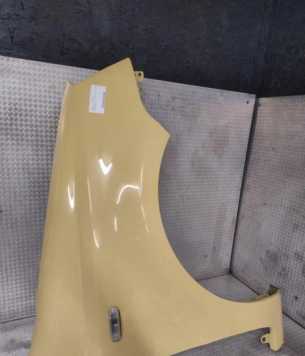 Aile avant droite Fiat PANDA (169_) 1.2 (169axf2a, 169axf1a) (2010-2013) occasion