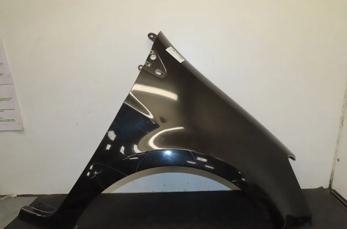 Aile avant droite Renault CLIO III (BR0-1, CR0-1) 1.5 dci (br17, cr17) (2005-2012) 5 portes occasion