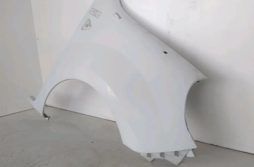 Aile avant droite Renault KANGOO Express (FW0-1_) 1.5 dci 85 (fw0k, fw0l, fw0b) (2008) occasion