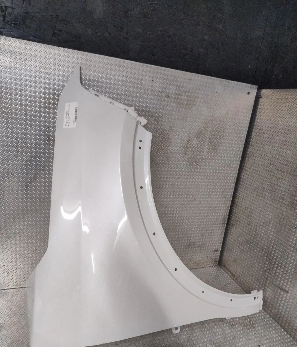 Aile avant droite RENAULT SCENIC 5  SCENIC 5 occasion