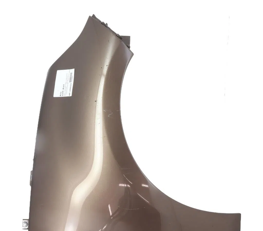Aile avant droite Renault SCÉNIC III (JZ0-1_) 2.0 dci (jz0y, jz26) (2009) occasion