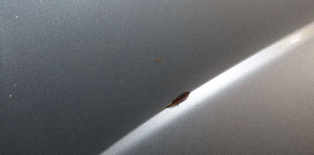 Aile avant gauche Citroën C3 I (FC_, FN_) 1.4 i (2002-2010) 5 portes occasion