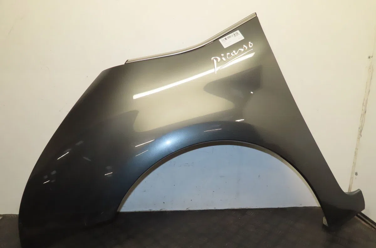 Aile avant gauche Citroen C4 GRAND PICASSO I (UA_) 2.0 hdi 150 (2009-2013) occasion