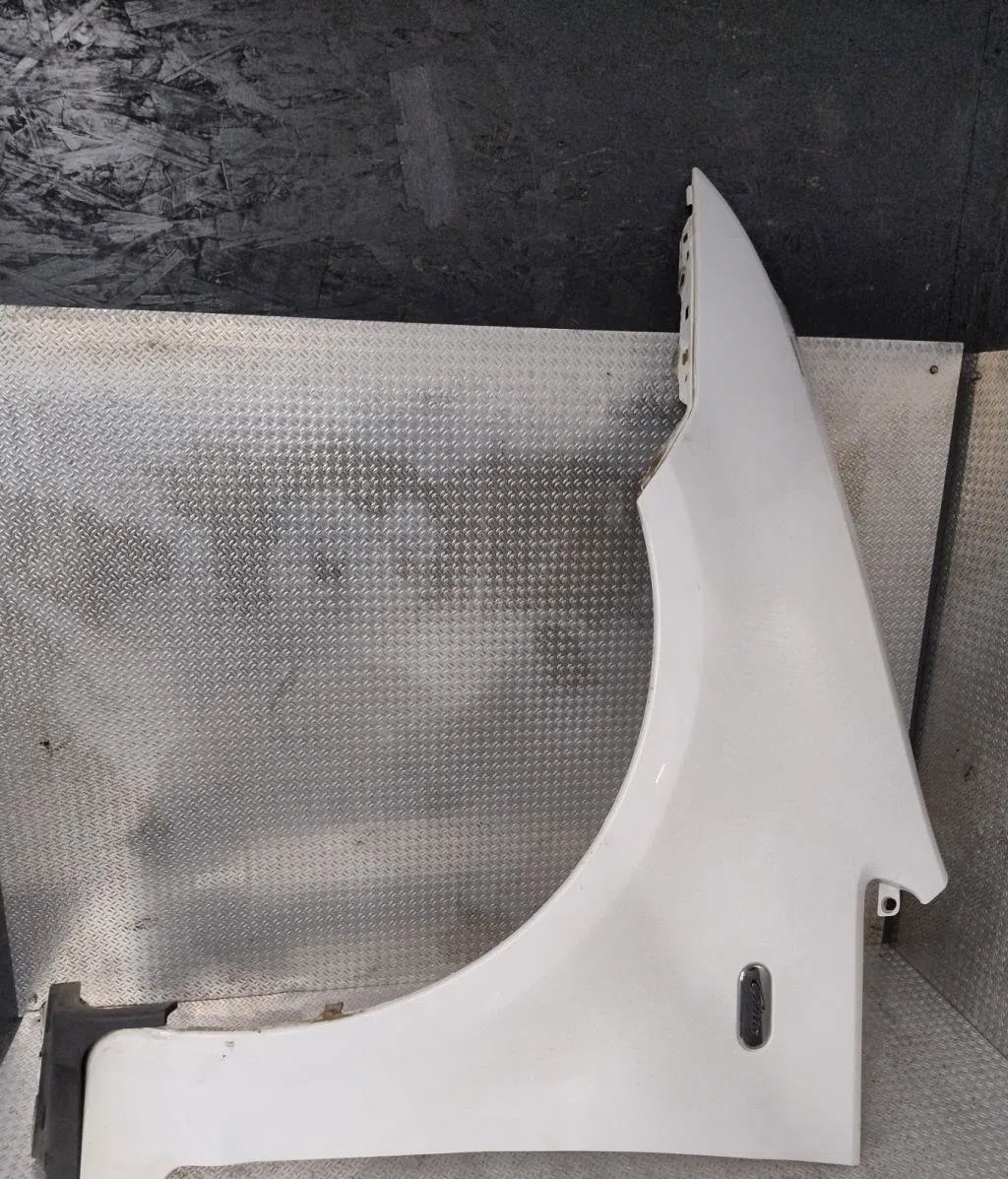 Aile avant gauche Ford C-MAX (DM2) 1.6 tdci (2007-2010) 5 portes occasion