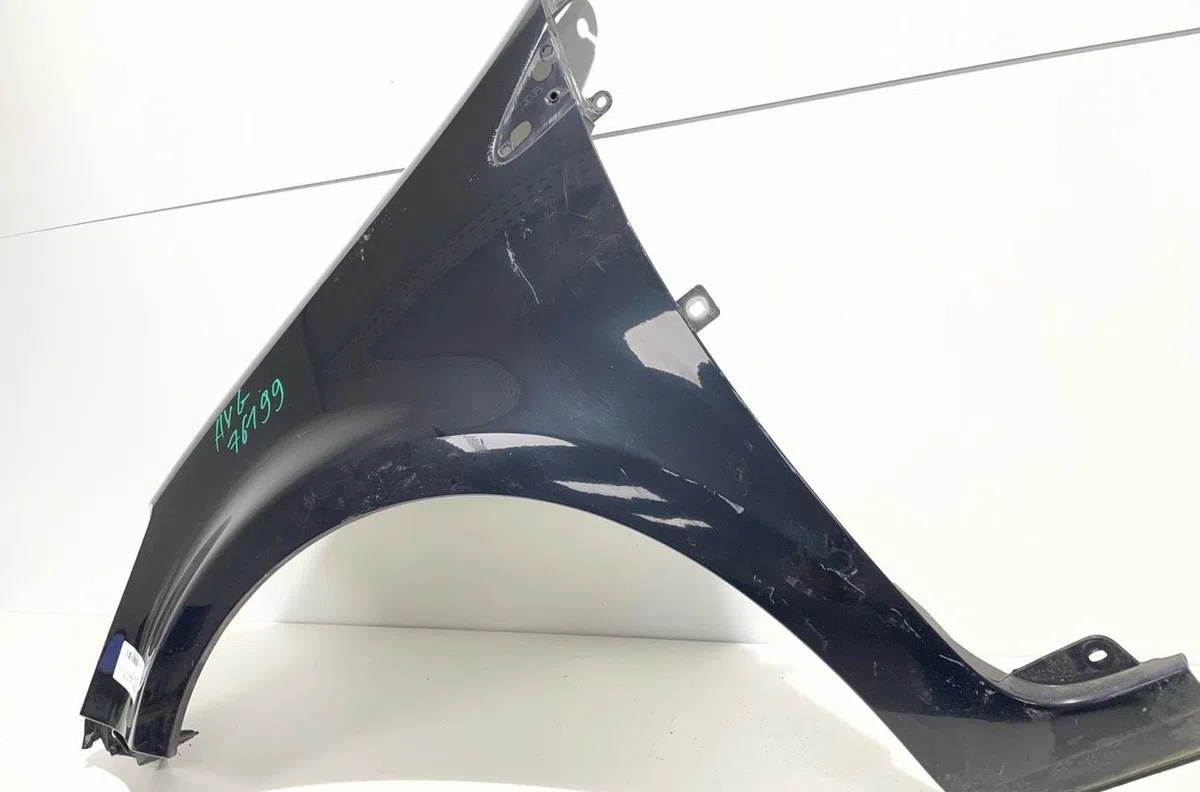 Aile avant gauche Renault CLIO III (BR0-1, CR0-1) 1.5 dci (2010-2014) 5 portes occasion