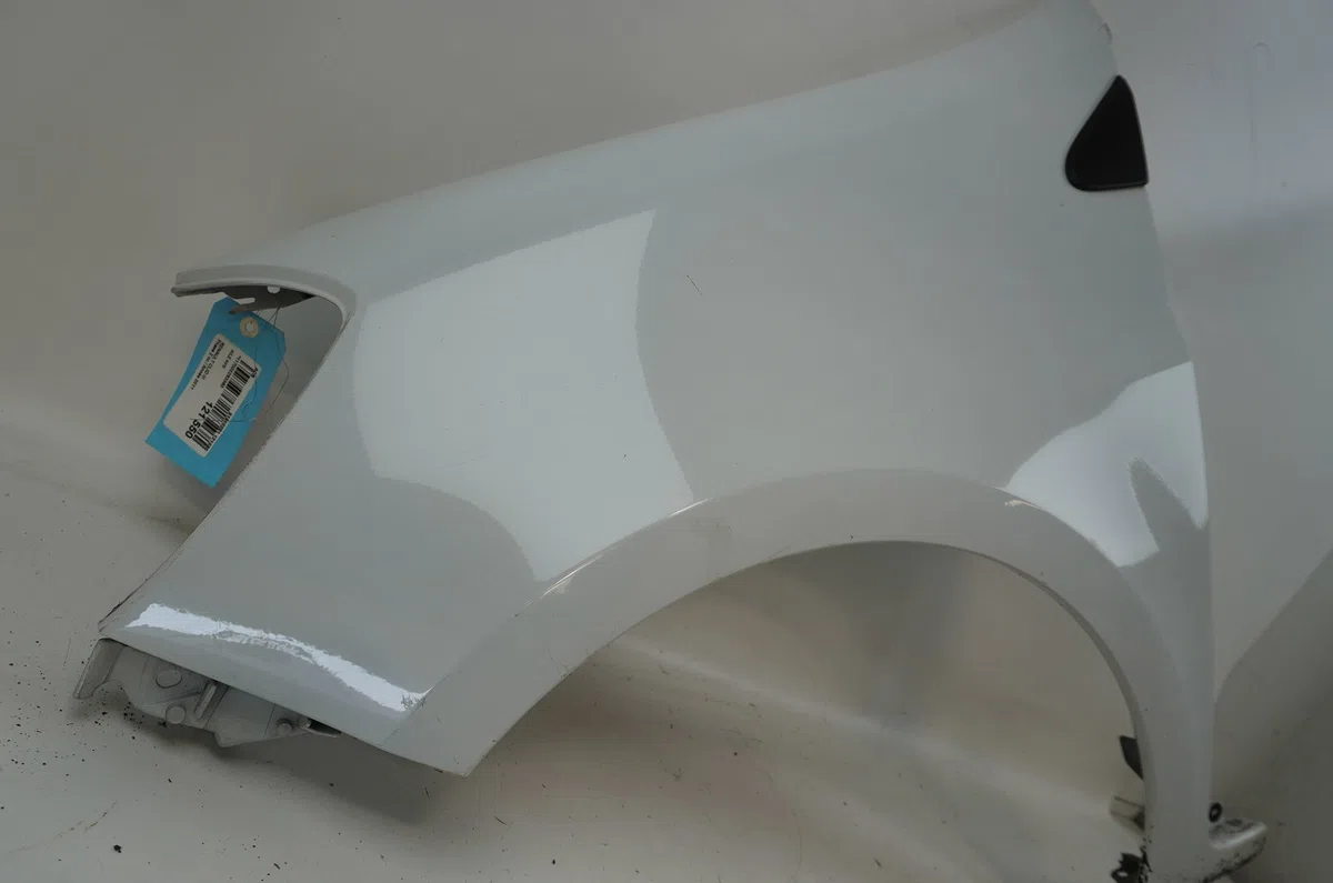 Aile avant gauche Renault CLIO III (BR0-1, CR0-1) 1.5 dci (2010-2014) 5 portes occasion