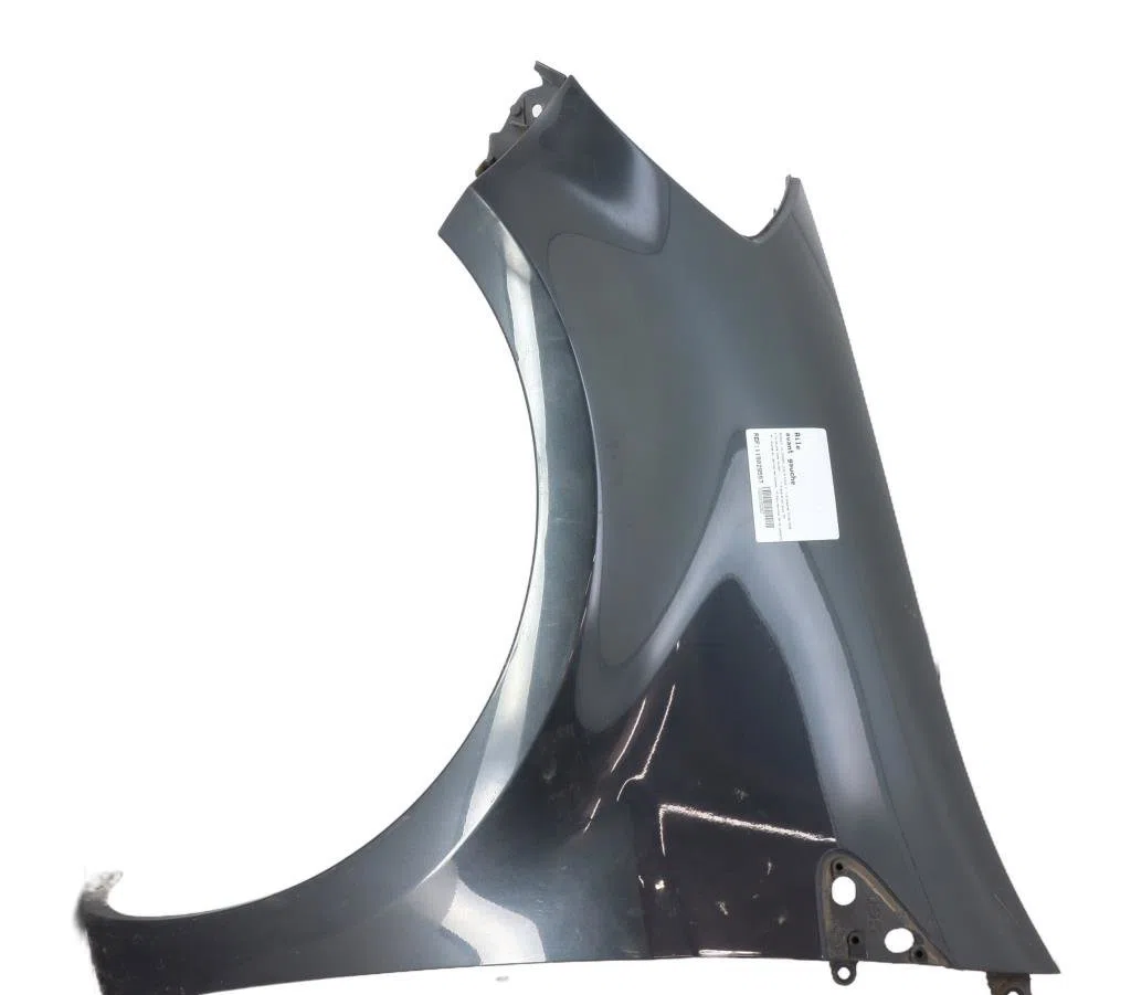 Aile avant gauche Renault CLIO III (BR0-1, CR0-1) 1.6 16v (br09, br0t, cr09, cr0t) (2005-2007) occasion