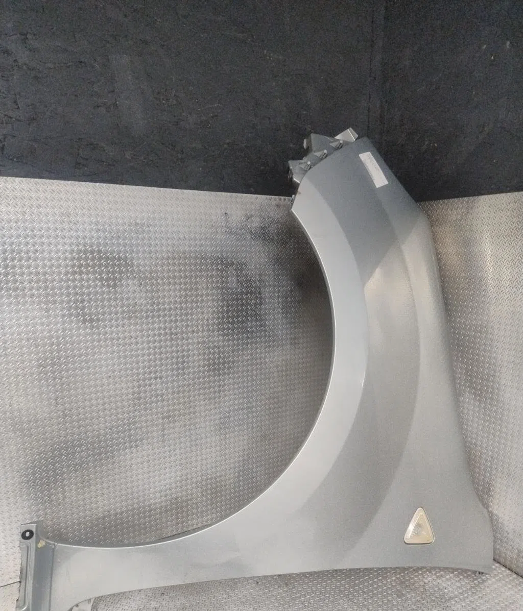 Aile avant gauche Renault KANGOO Express (FW0-1_) 1.5 dci 110 (fw0c, fw0h) (2010) occasion