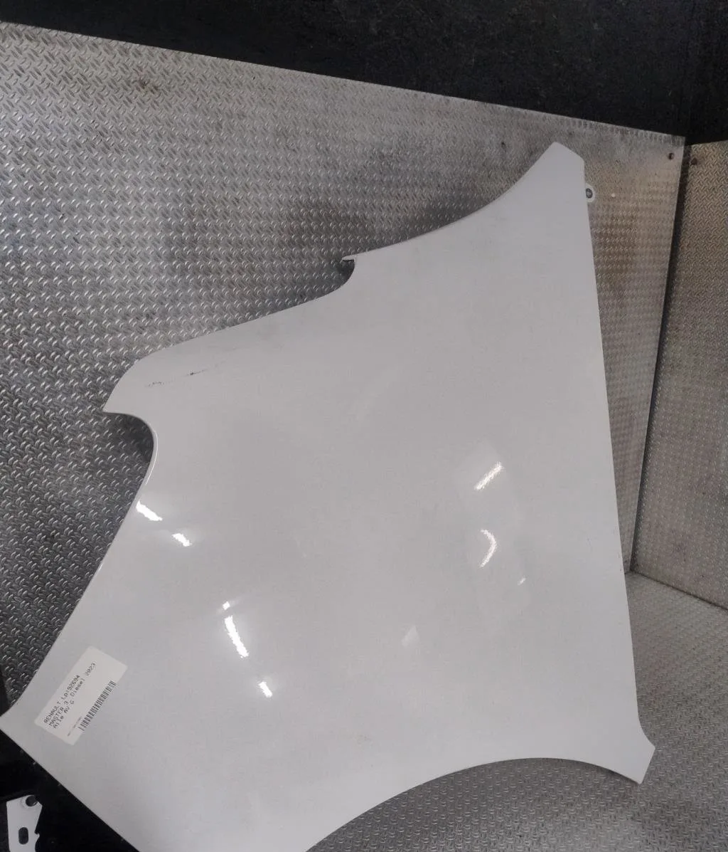 Aile avant gauche Renault MASTER III Camion plate-forme-Châssis (EV, HV, UV) 2.3 dci 130 rwd (hv01, hv10, hv11, hv12, uv
