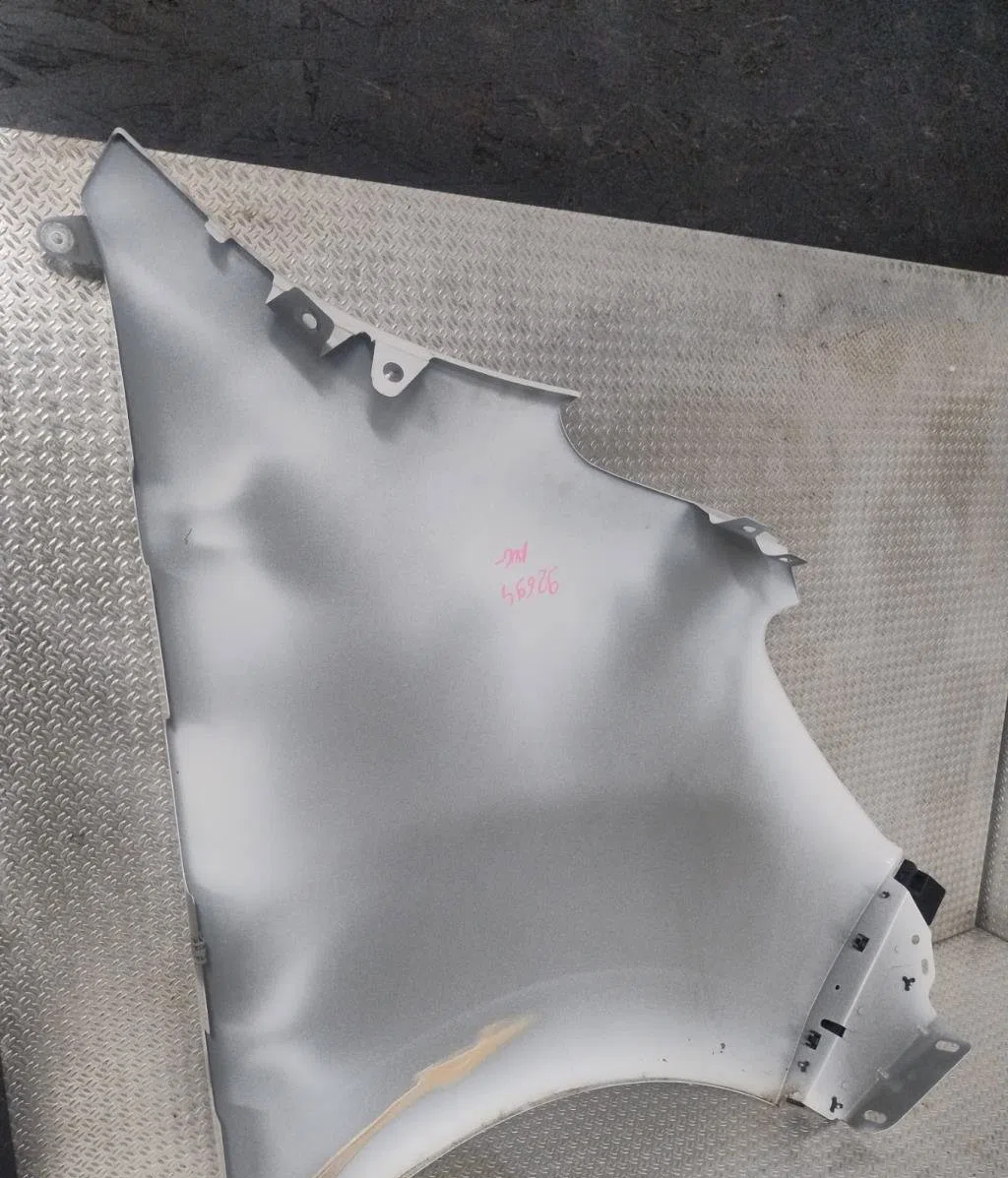 Aile avant gauche Renault MASTER III Camion plate-forme-Châssis (EV, HV, UV) 2.3 dci 130 rwd (hv01, hv10, hv11, hv12, uv