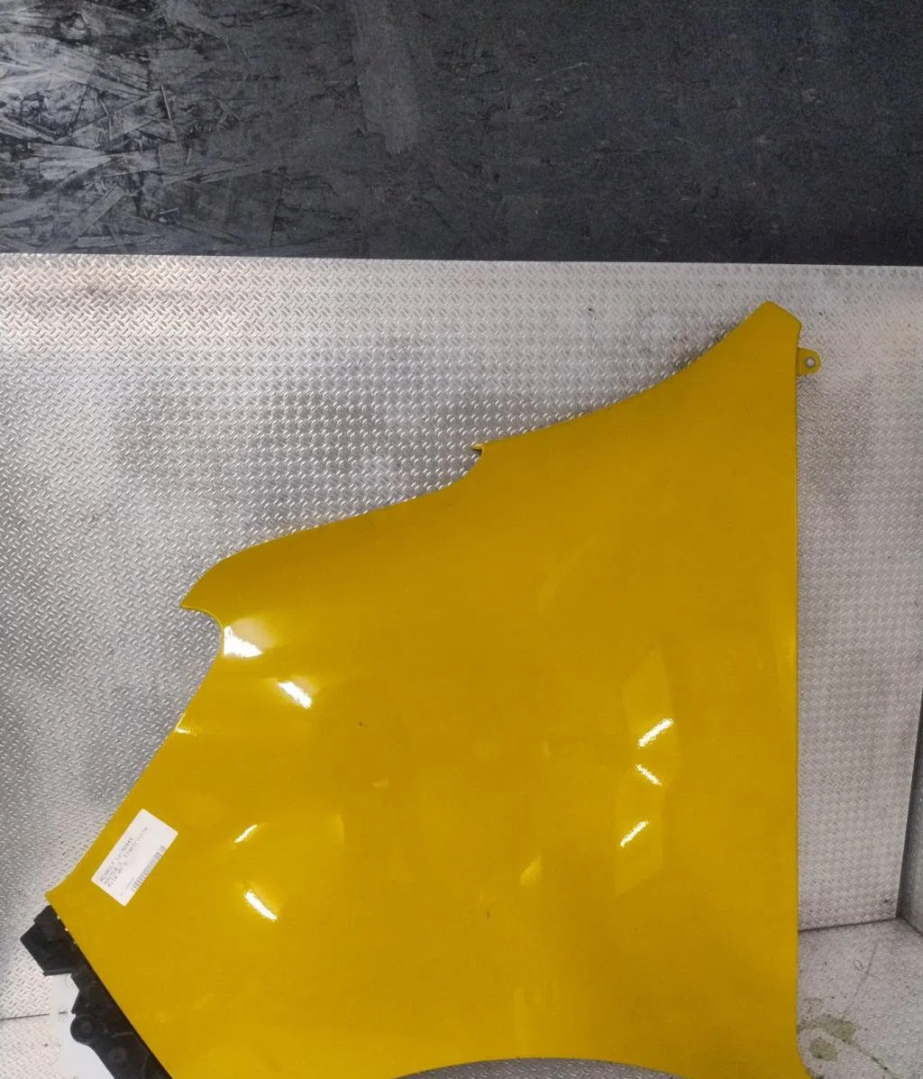 Aile avant gauche Renault MASTER III Camion plate-forme-Châssis (EV, HV, UV) 2.3 dci 145 fwd (ev0e, ev0f, hv0e, hv0f, uv