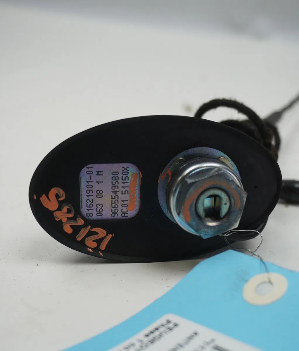 Antenne Peugeot 207-207 (WA_, WC_) 1.6 hdi (2006-2013) 5 portes occasion