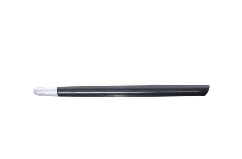 Baguette de porte avant gauche pour RENAULT CLIO 2 PHASE 2