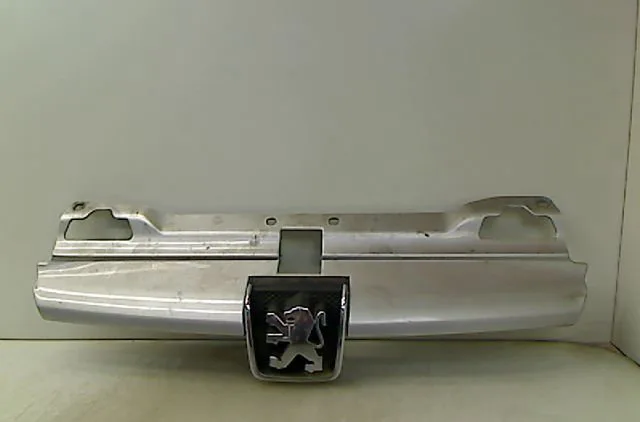 Calandre Peugeot 406 Break (8E-F) 2.0 hdi 110 (1999-2004) 5 portes occasion