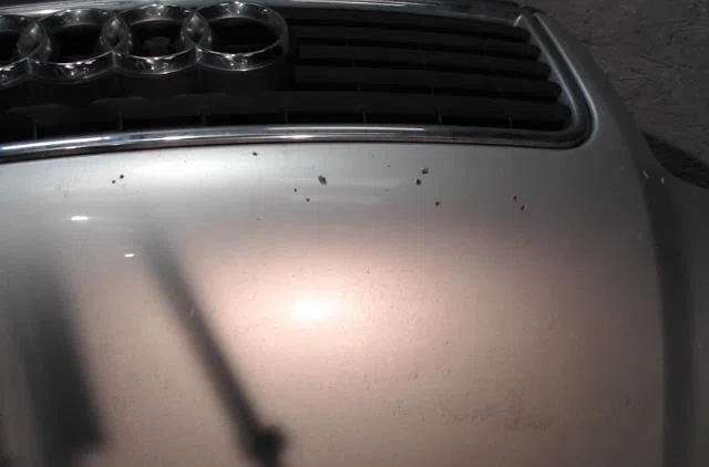 Capot Audi A4 B6 Avant (8E5) 2.5 tdi (2002-2004) occasion — photo 2