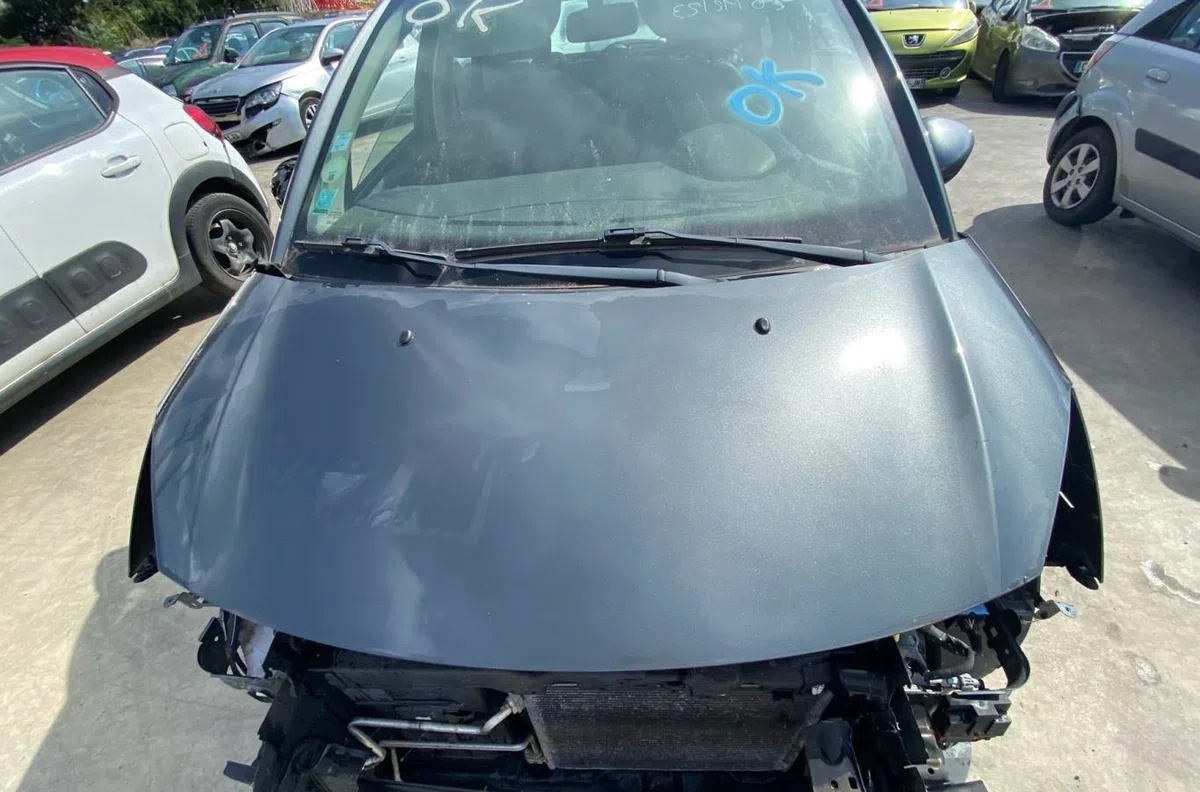Capot CITROEN C3 2 PHASE 2 occasion — photo 2