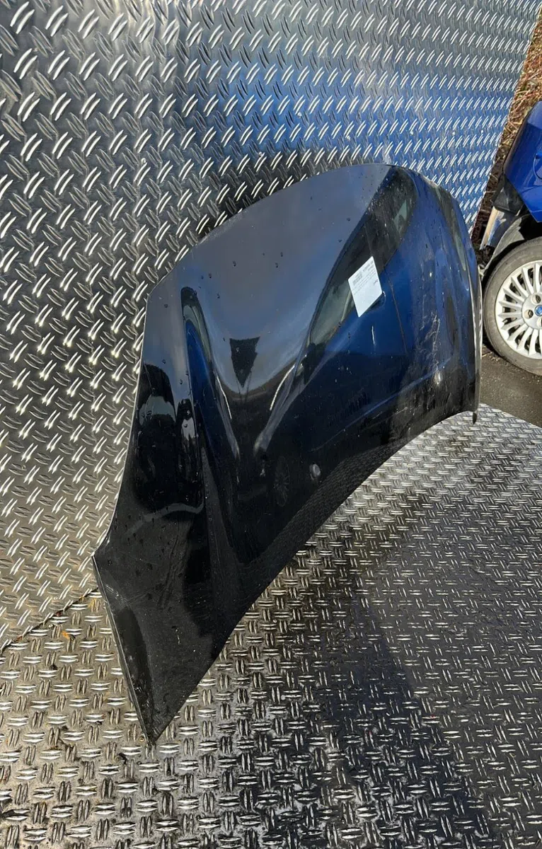 Capot Citroen C3 II (SC_) 1.4 hdi 70 (sc8hzc, sc8hr0, sc8hp4) (2009) 5 portes occasion