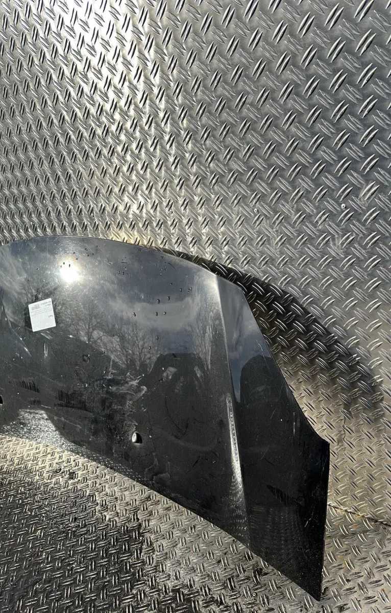 Capot Citroen C3 II (SC_) 1.4 hdi 70 (sc8hzc, sc8hr0, sc8hp4) (2009) 5 portes occasion
