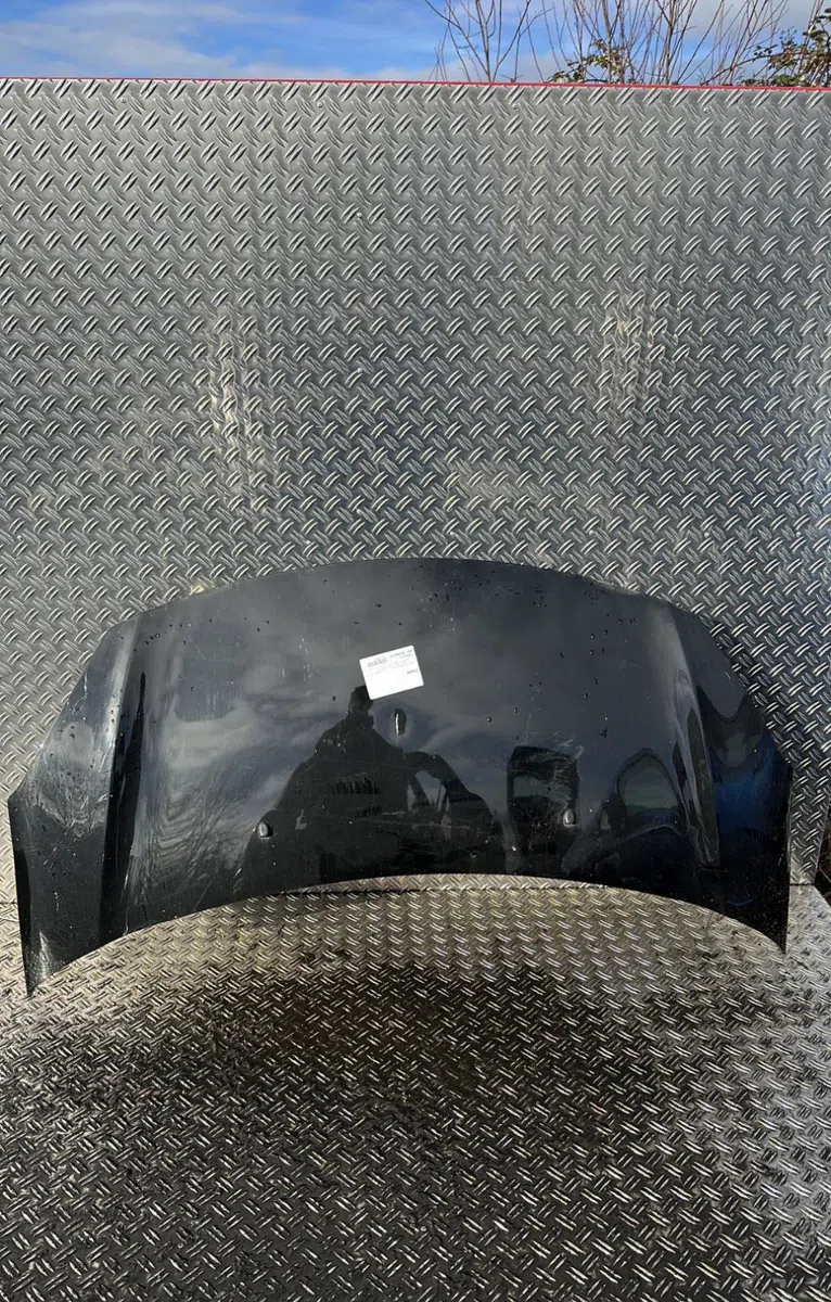 Capot Citroen C3 II (SC_) 1.4 hdi 70 (sc8hzc, sc8hr0, sc8hp4) (2009) 5 portes occasion