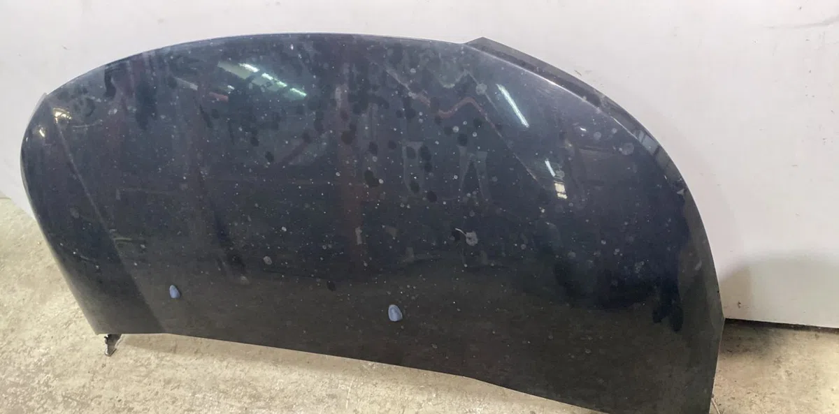 Capot Citroen C3 PICASSO (SH_) 1.6 hdi (2009) 5 portes occasion