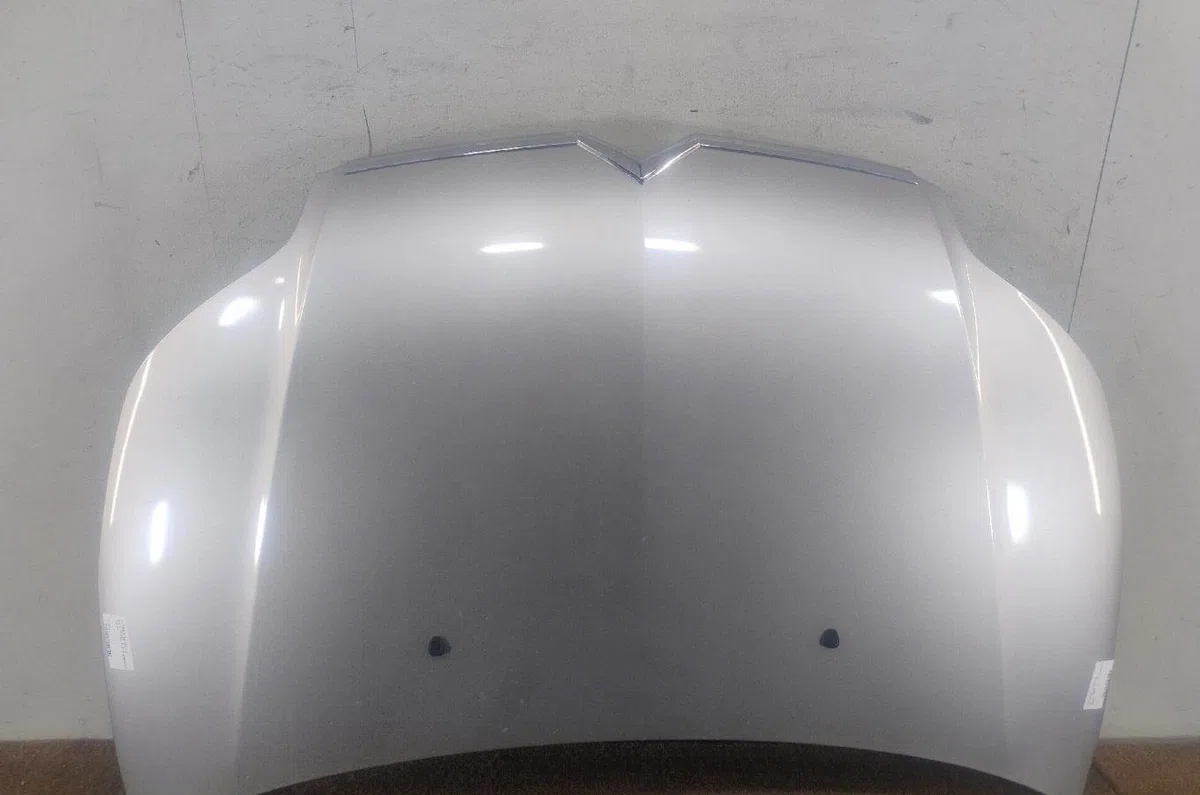 Capot Citroen C4 I (LC_) 1.6 16v (2004-2011) 5 portes occasion