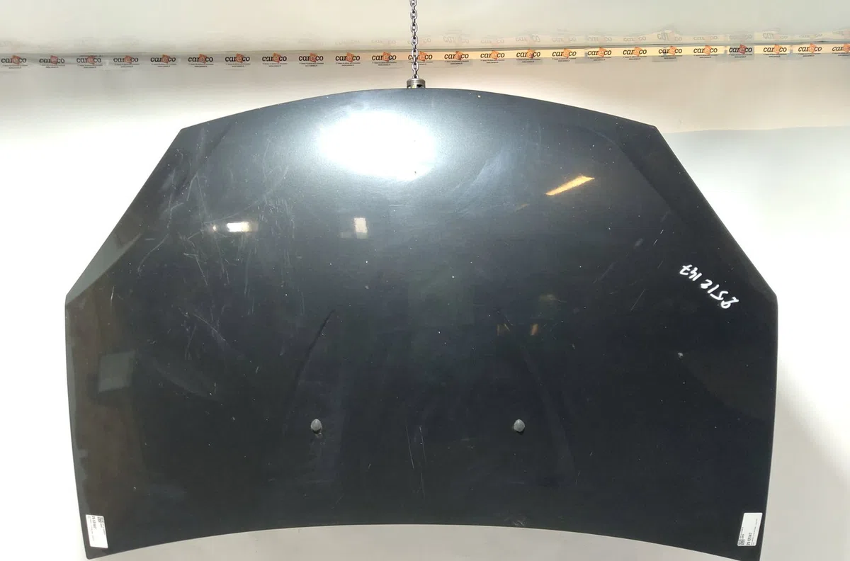 Capot DACIA SANDERO I occasion