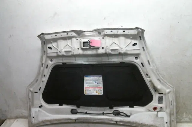 Capot Fiat DOBLO Cargo (263_) 1.6 d multijet (2010) occasion — photo 2