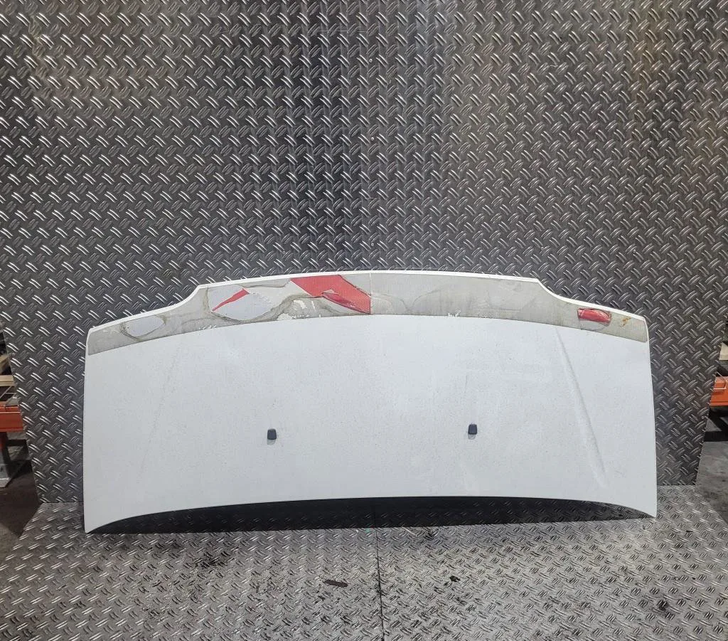 Capot Fiat DUCATO Camionnette (244_) 2.3 jtd (2001-2006) occasion