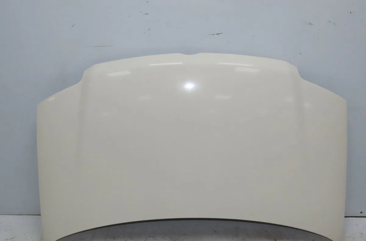 Capot Fiat PANDA (169_) 1.3 d multijet (169axg1a, 169axd1a) (2006-2013) occasion
