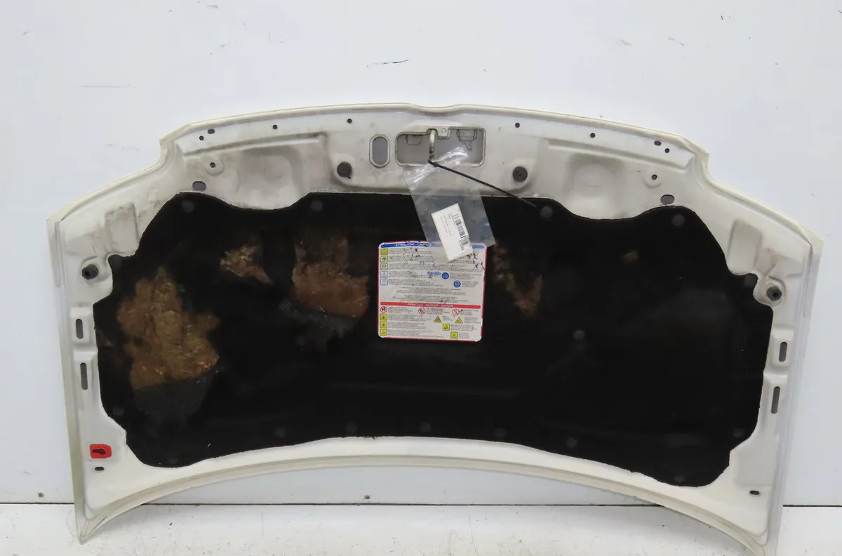 Capot Fiat PANDA (169_) 1.3 d multijet (169axg1a, 169axd1a) (2006-2013) occasion — photo 2