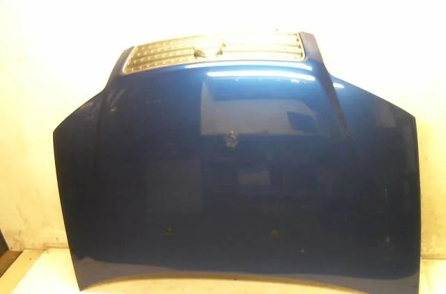 Capot Fiat PUNTO (188_) 1.3 jtd 16v (2003-2012) 5 portes occasion