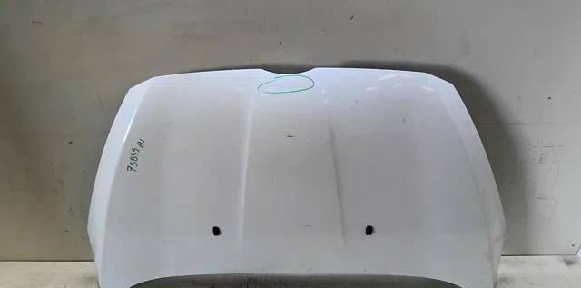 Capot FORD B-MAX occasion