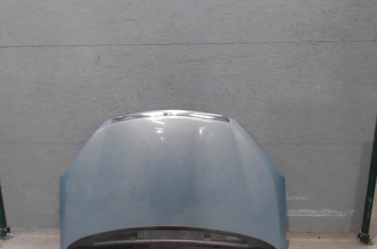 Capot FORD C-MAX 1  C-MAX 1 PHASE 2 occasion