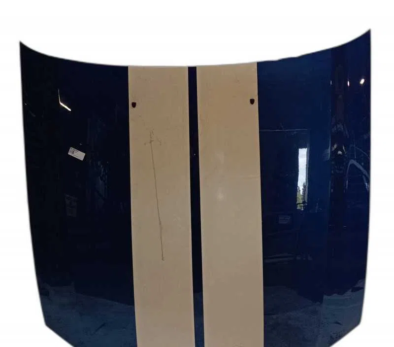 CAPOT FORD MUSTANG 3801019723303 — photo 2