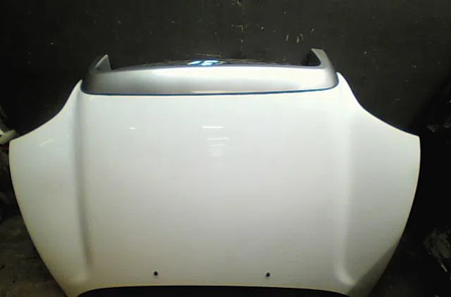 Capot Hyundai SANTA FÉ I (SM) 2.0 crdi (2001-2006) occasion