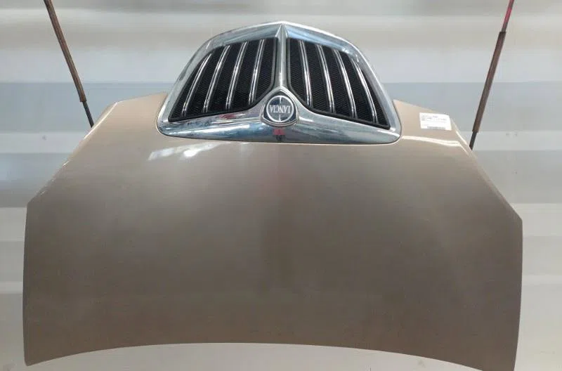 Capot LANCIA MUSA PHASE 1 occasion — photo 2