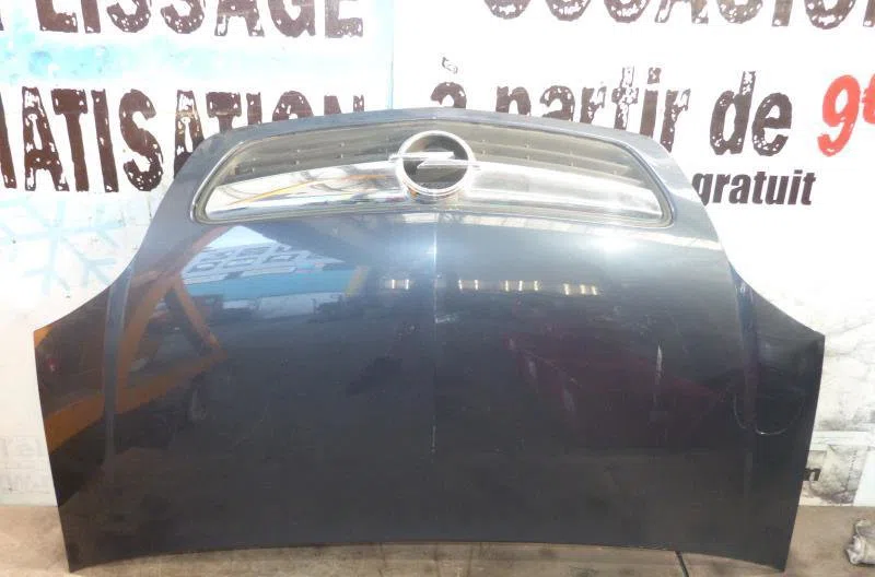 Capot OPEL MERIVA A PHASE 2 occasion