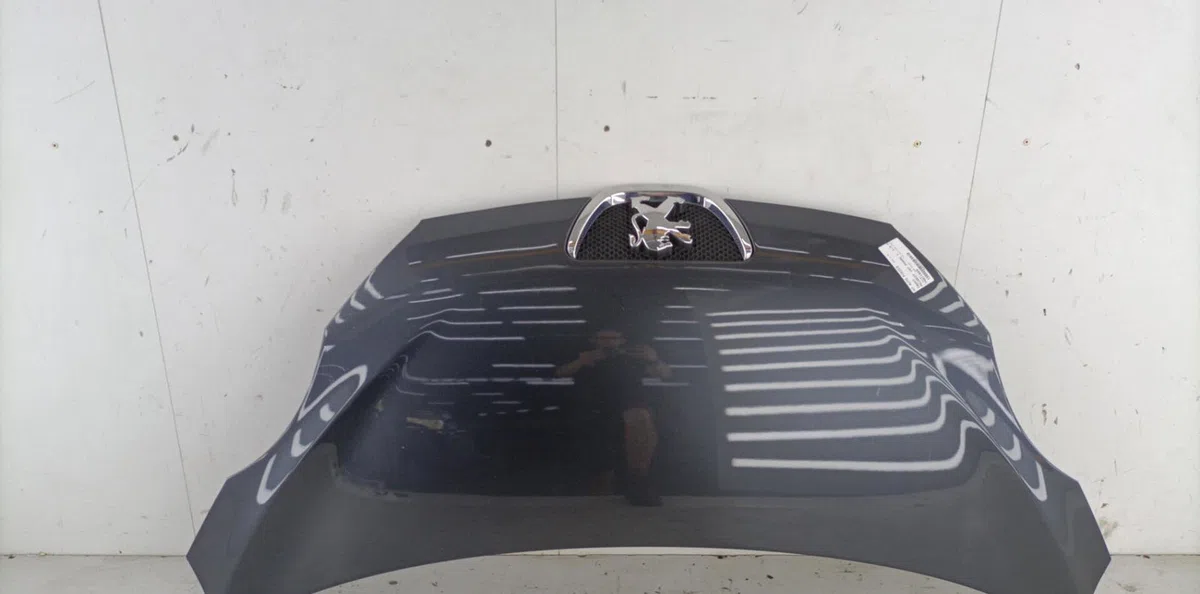 Capot PEUGEOT 107 PHASE 1 occasion