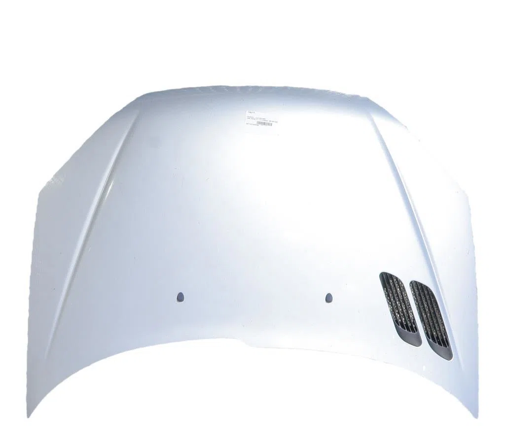 Capot PEUGEOT 206 PHASE 2 occasion — photo 2