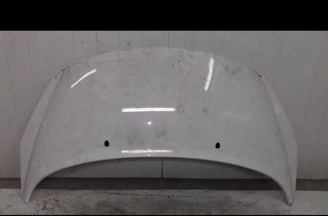 Capot Peugeot 207-207 (WA_, WC_) 1.4 hdi (2006-2015) 5 portes occasion