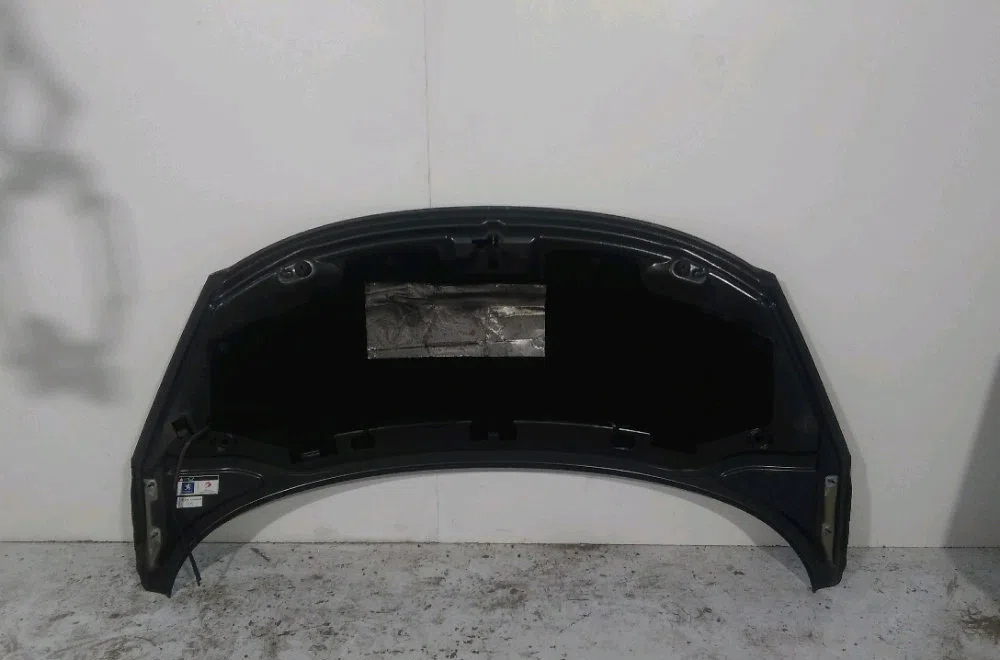 Capot Peugeot 207-207 (WA_, WC_) 1.6 hdi (2006-2013) 5 portes occasion