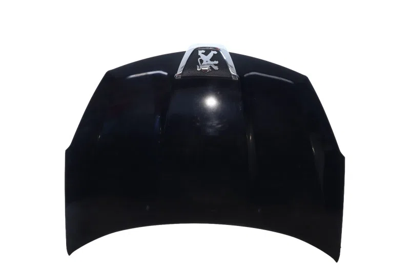 Capot pour PEUGEOT 4007