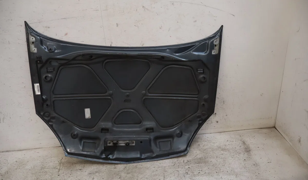 Capot Renault CLIO II (BB_, CB_) 1.5 dci (b-cb3m) (2005-2010) 3 portes occasion