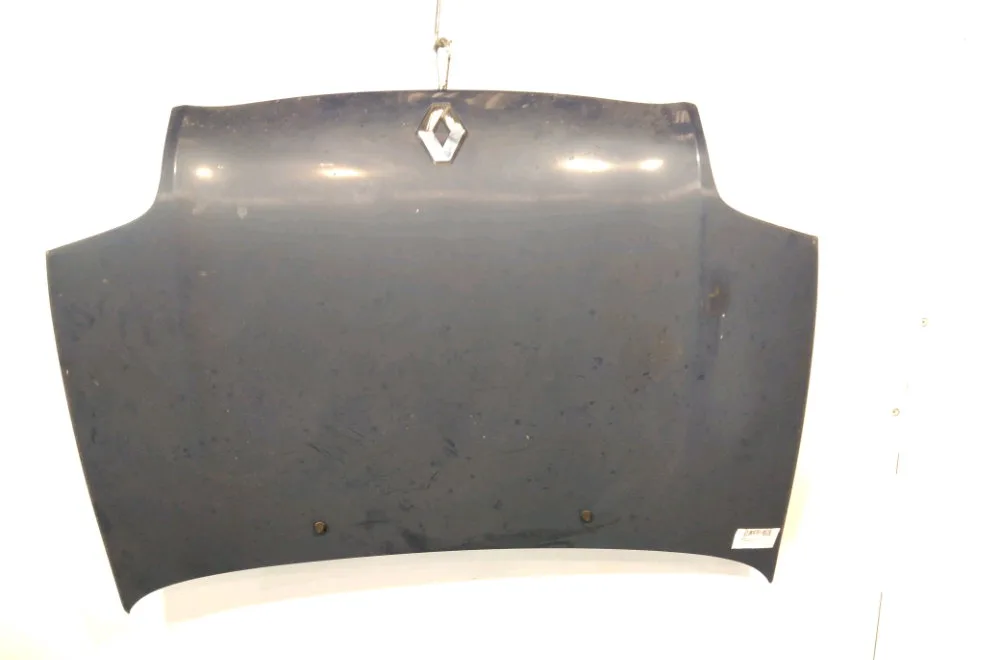 Capot Renault CLIO II (BB_, CB_) 1.9 d (b-cb0j) (2000-2001) 5 portes occasion