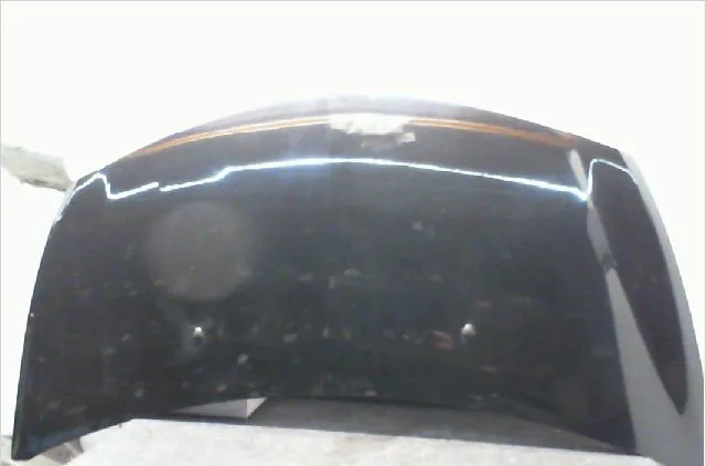 Capot Renault CLIO III (BR0-1, CR0-1) 1.2 16v (2010-2014) occasion