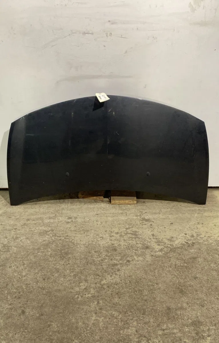 Capot Renault CLIO III (BR0-1, CR0-1) 1.2 16v (br0p, cr0p) (2007-2014) occasion