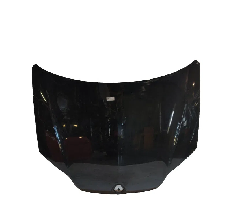 CAPOT RENAULT LAGUNA III 651000021R — photo 2