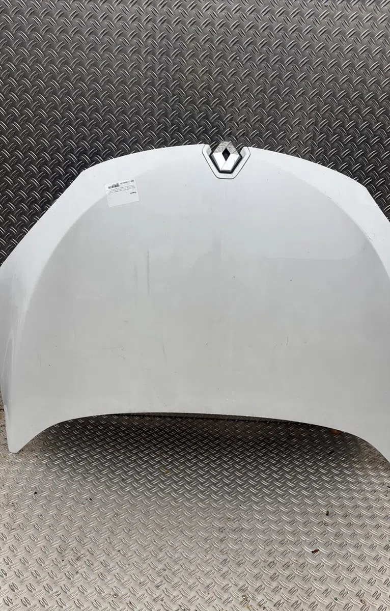 Capot Renault MEGANE CC (EZ0-1_) 1.9 dci (ez0j, ez1s) (2010) occasion